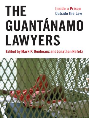 The Guantánamo Lawyers - ebook